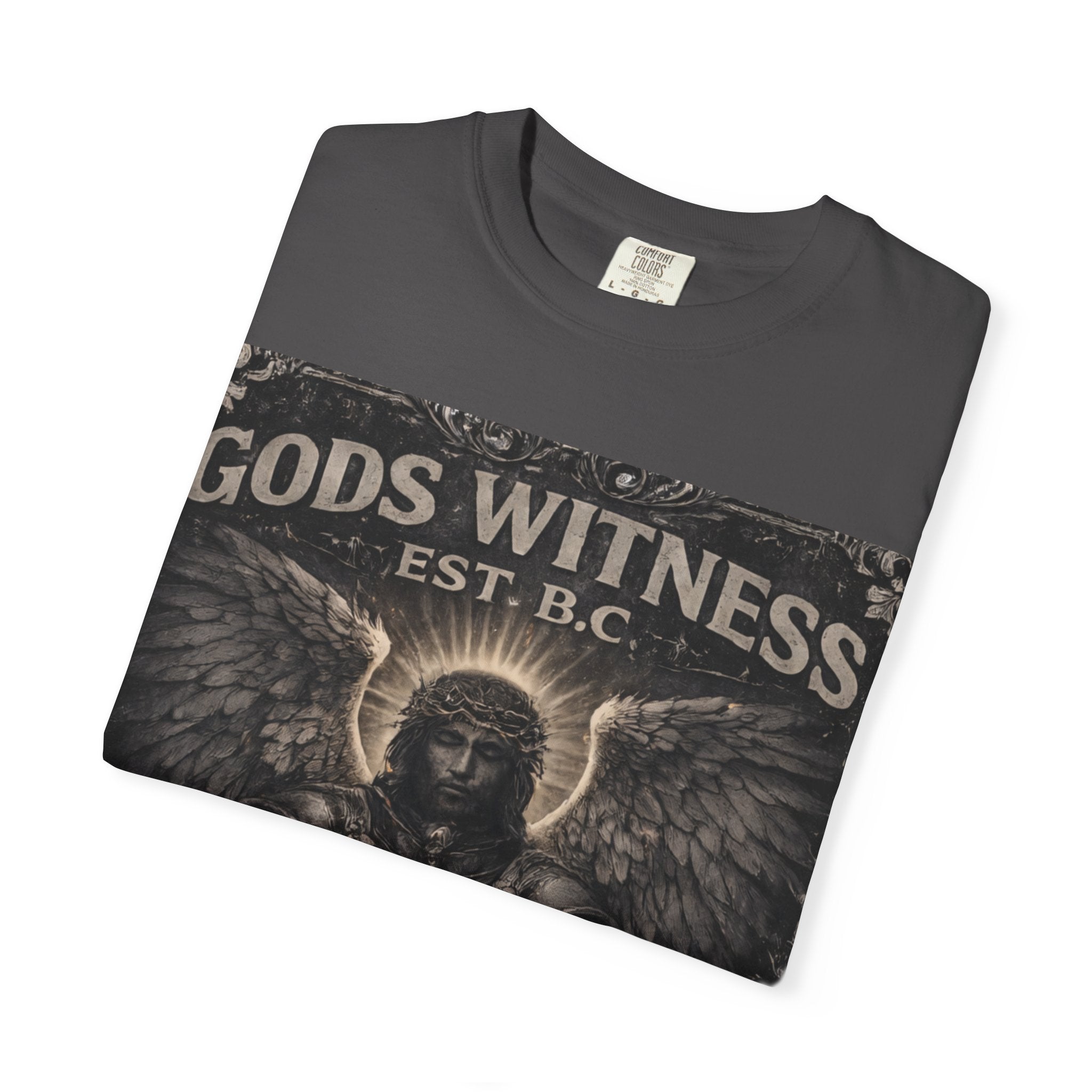 Gods Witness Est. B.C. | Psalm 91 Unisex Graphic T-Shirt
