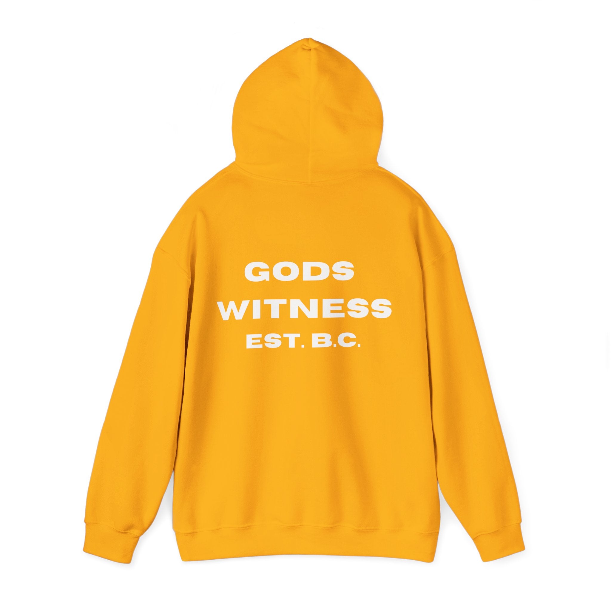 Gods Witness Est. B.C. Unisex Hoodie