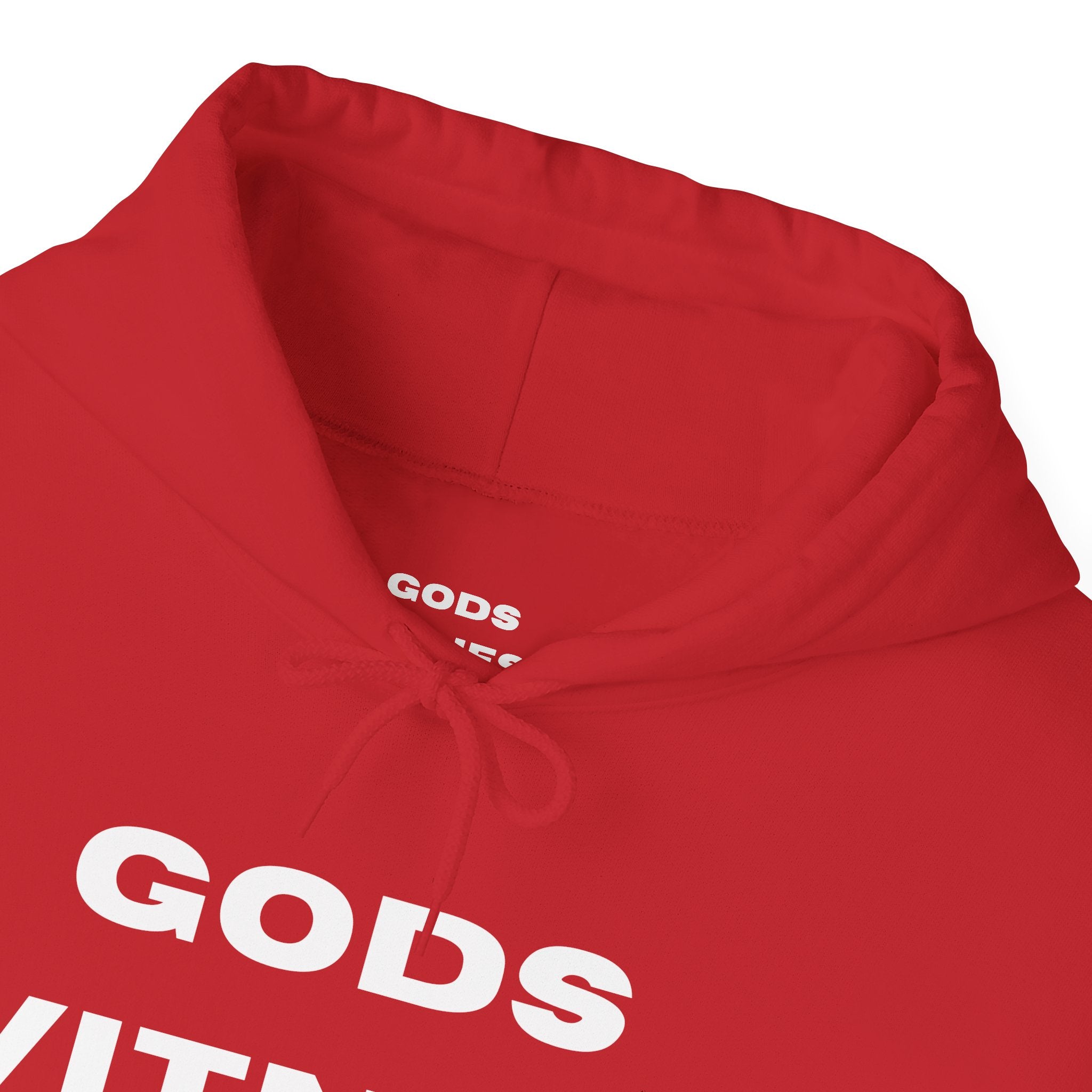 Gods Witness Est. B.C. Unisex Hoodie