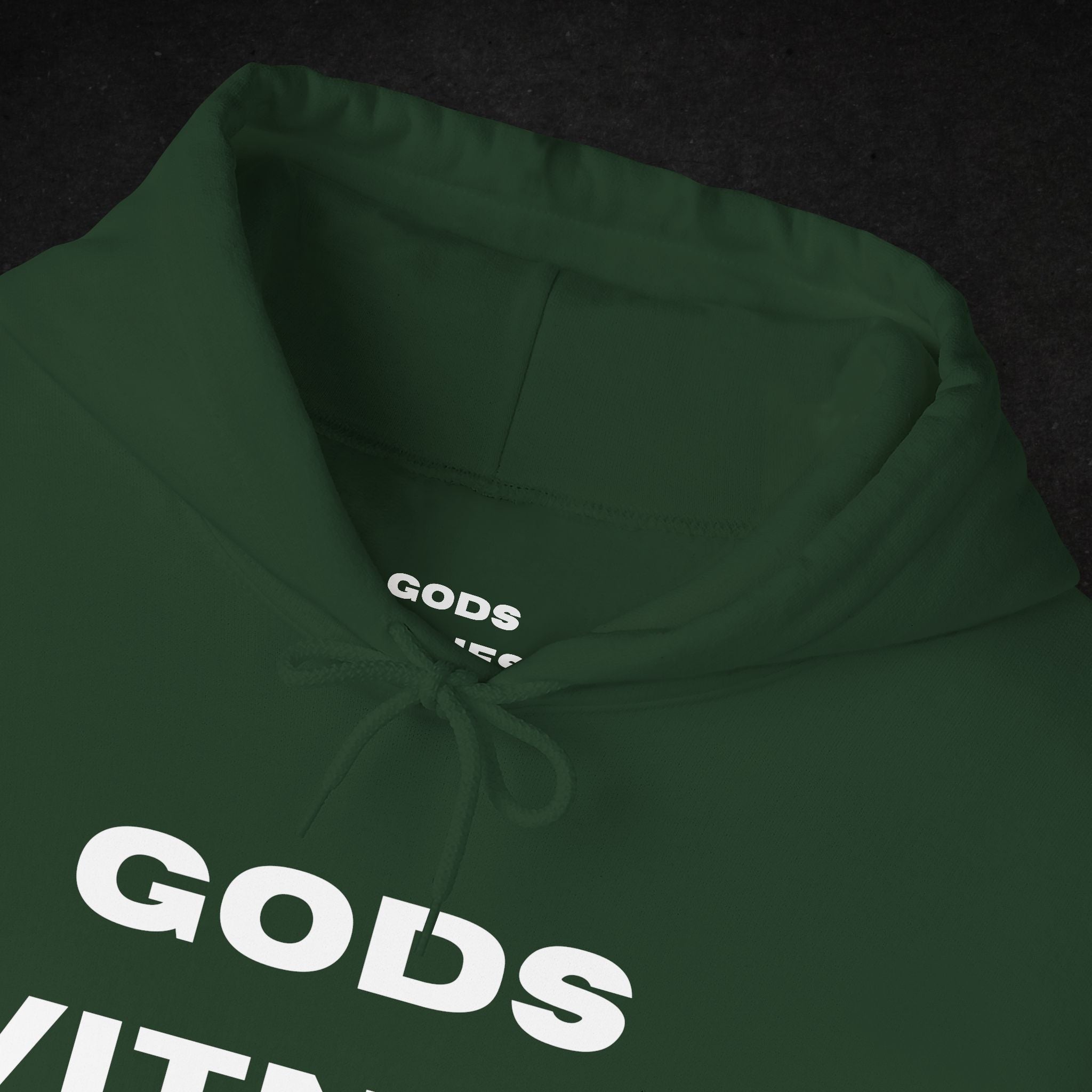 Gods Witness Est. B.C. Unisex Hoodie