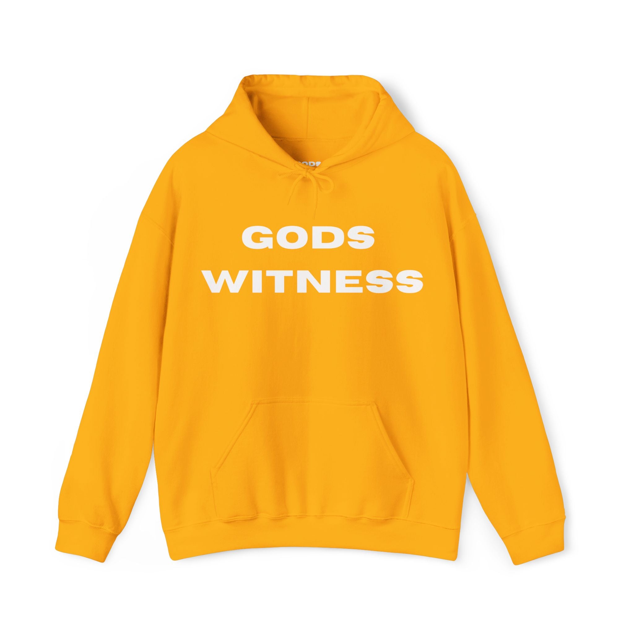 Gods Witness Est. B.C. Unisex Hoodie