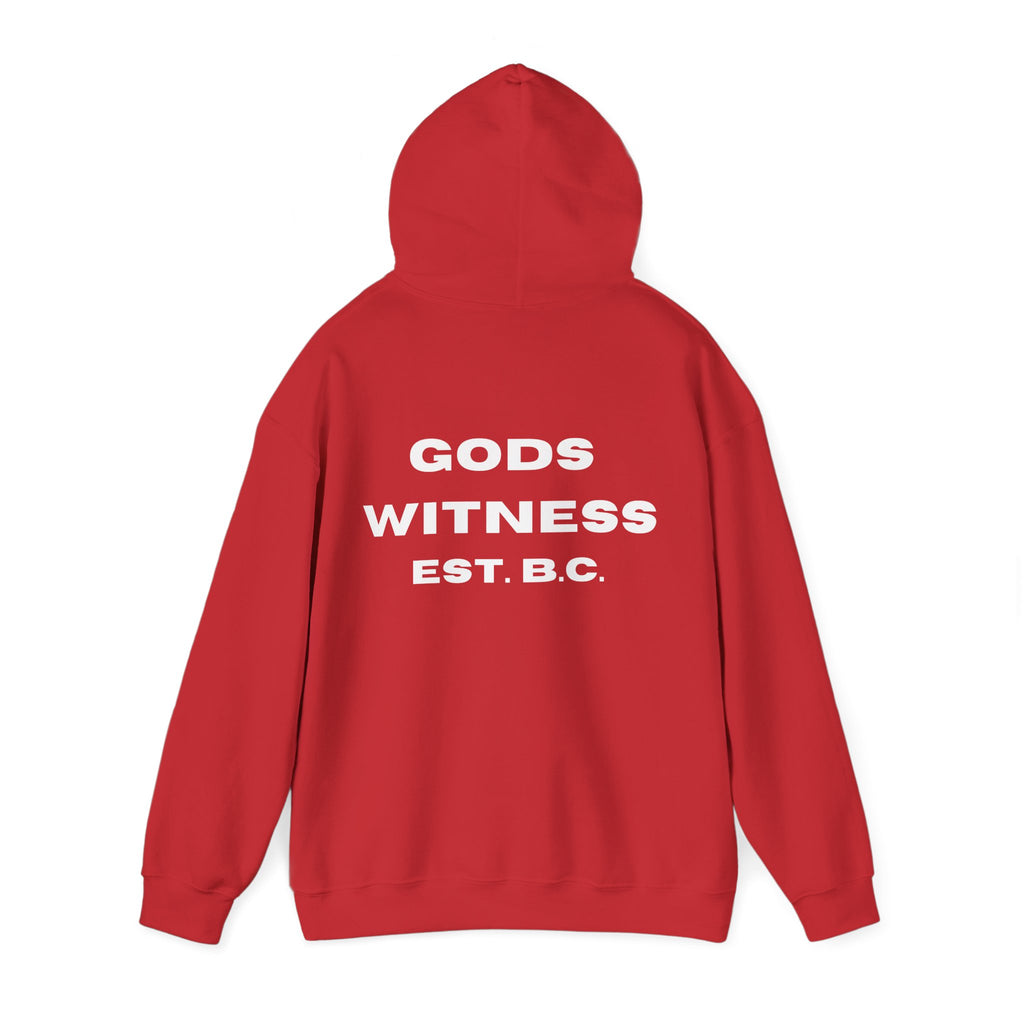 Gods Witness Est. B.C. Unisex Hoodie