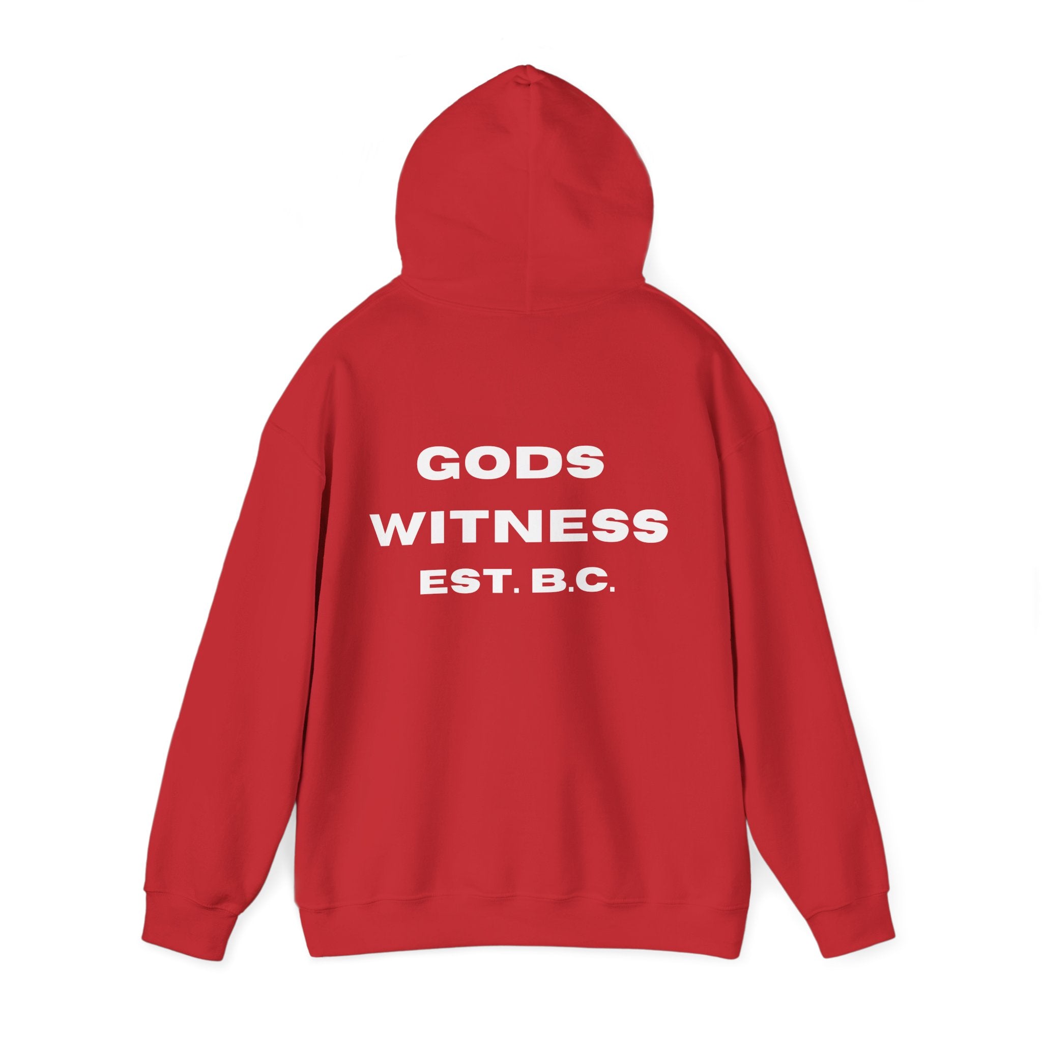 Gods Witness Est. B.C. Unisex Hoodie