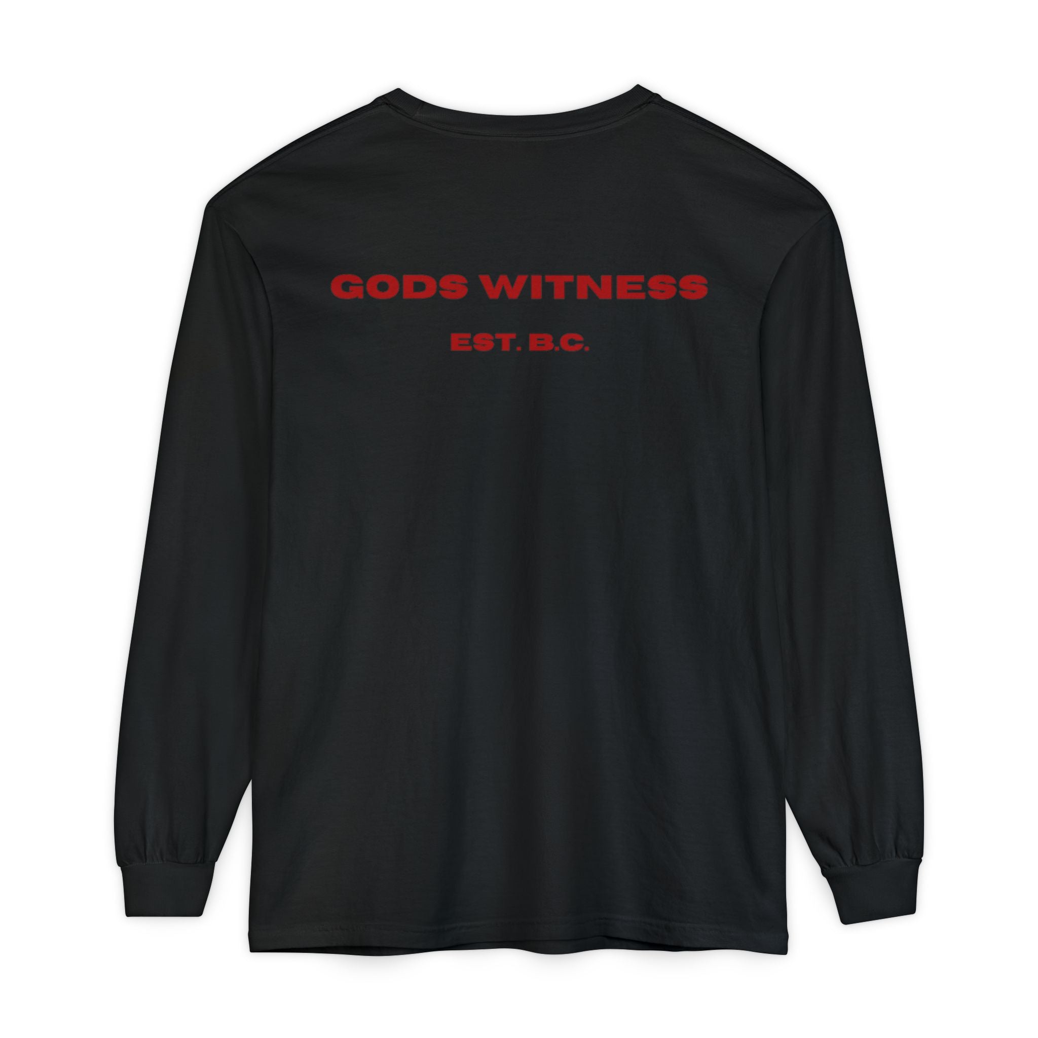 God's Witness Unisex Long Sleeve Tee