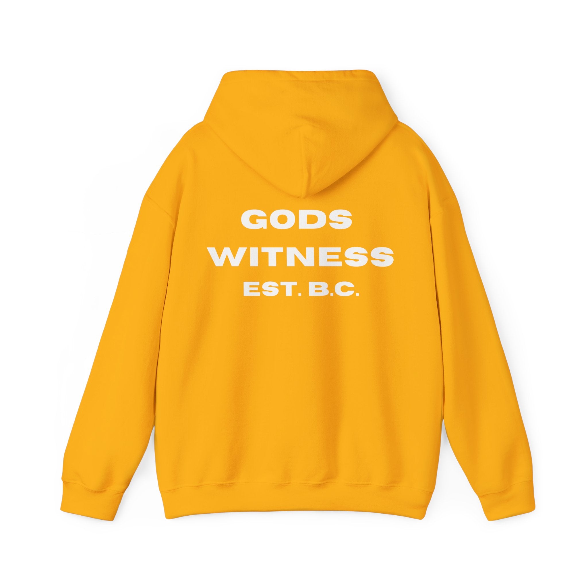 Gods Witness Est. B.C. Unisex Hoodie