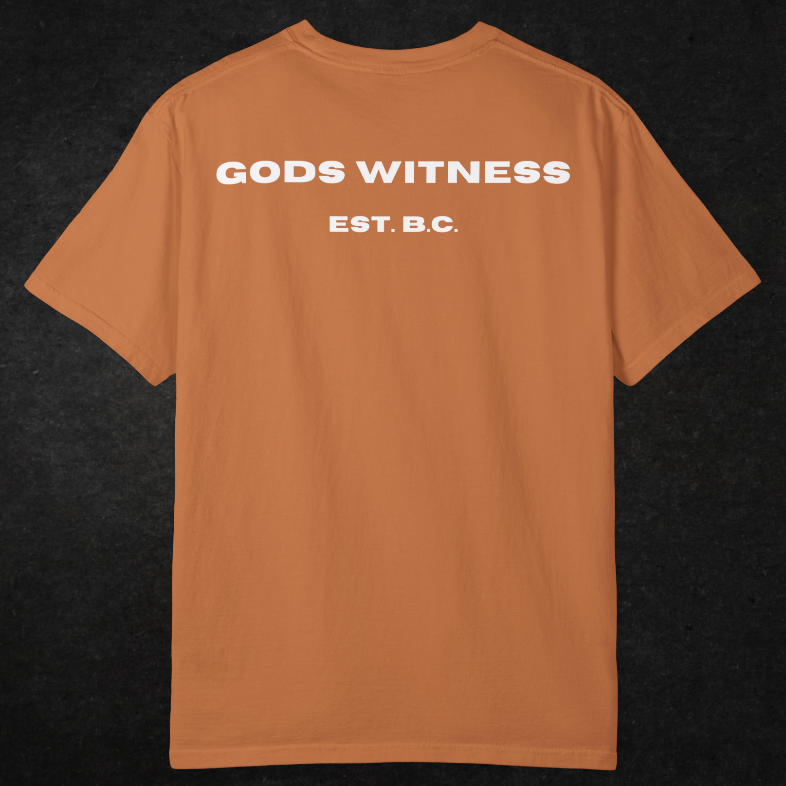 Gods Witness Est. B.C. Unisex T-Shirt