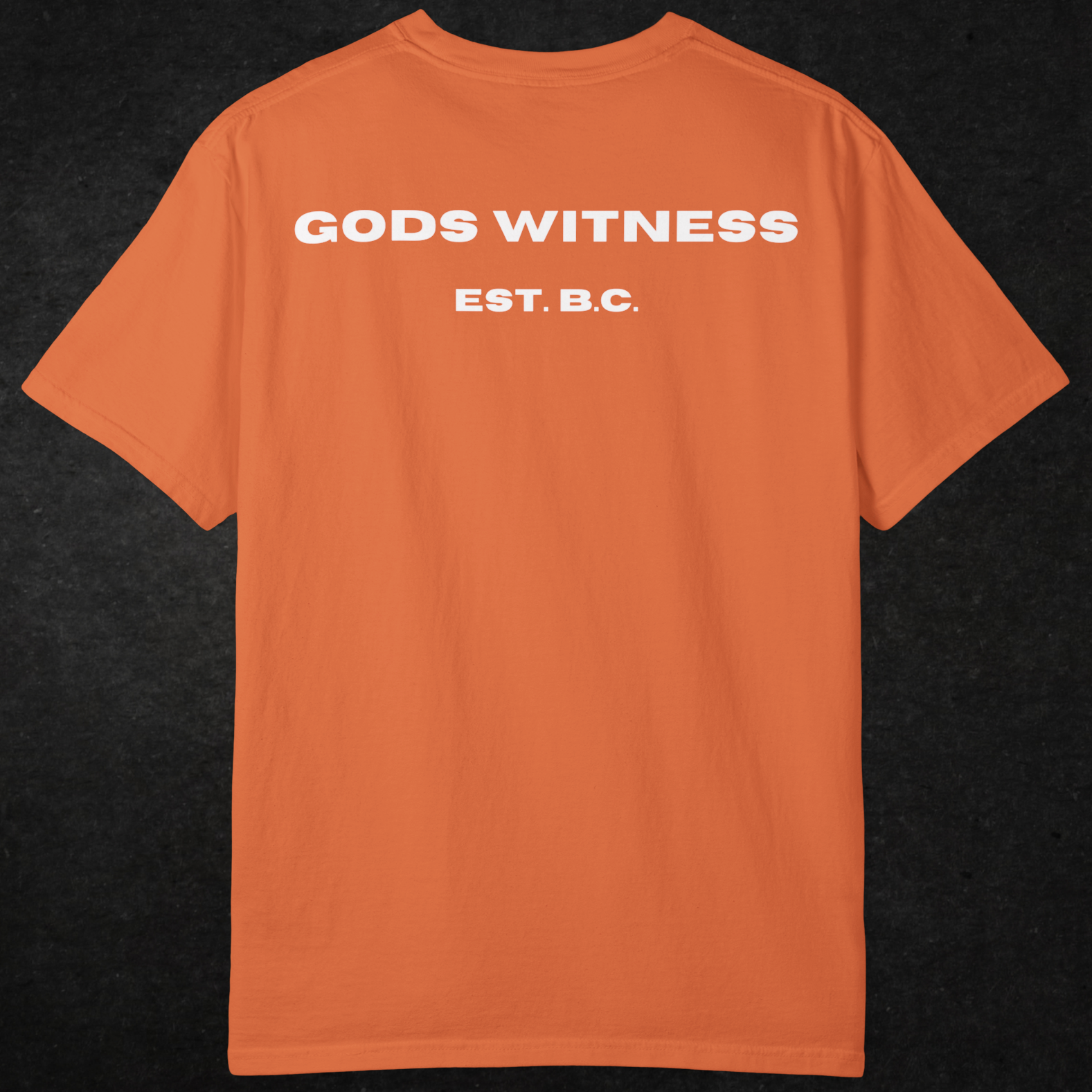 Gods Witness Est. B.C. Unisex T-Shirt