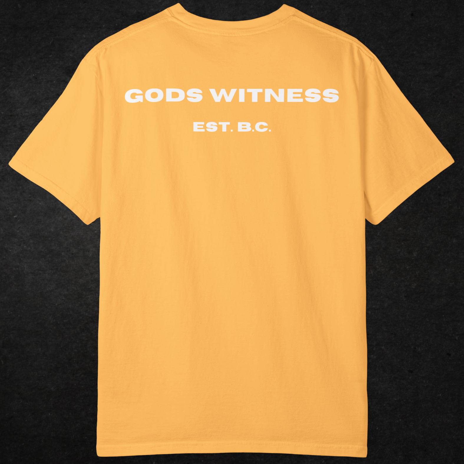 Gods Witness Est. B.C. Unisex T-Shirt