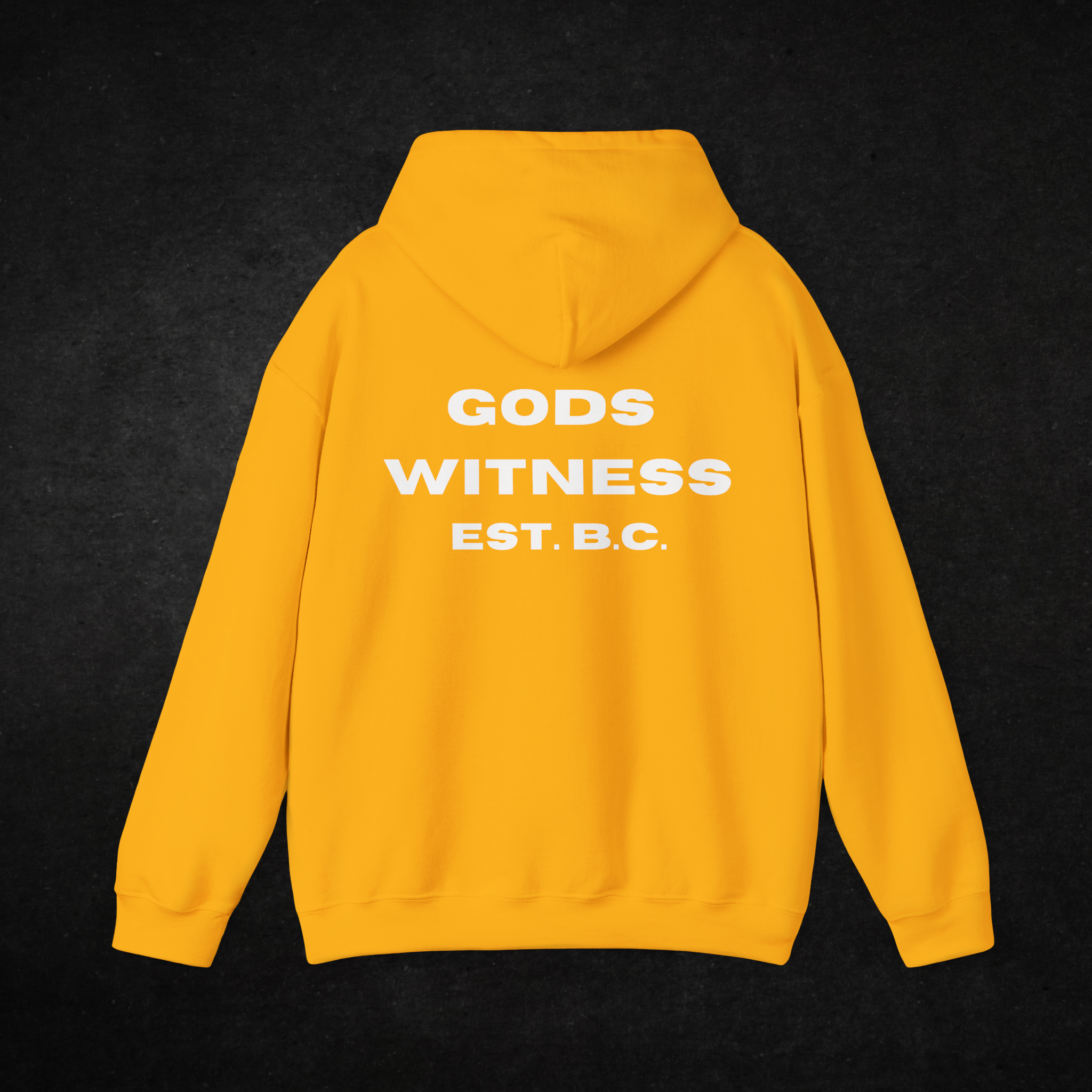 Gods Witness Est. B.C. Unisex Hoodie