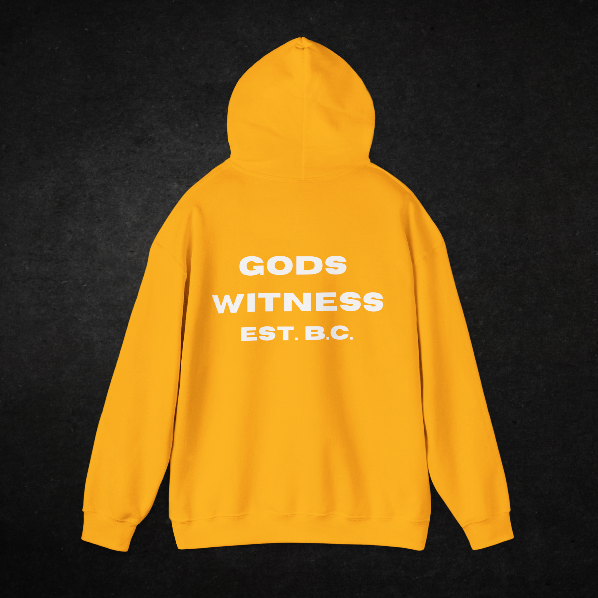 Gods Witness Est. B.C. Unisex Hoodie