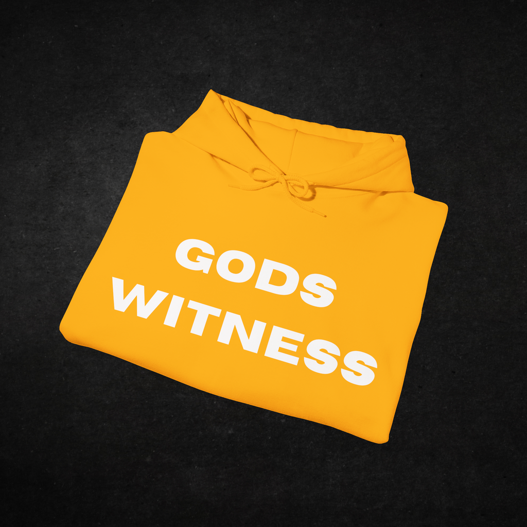 Gods Witness Est. B.C. Unisex Hoodie