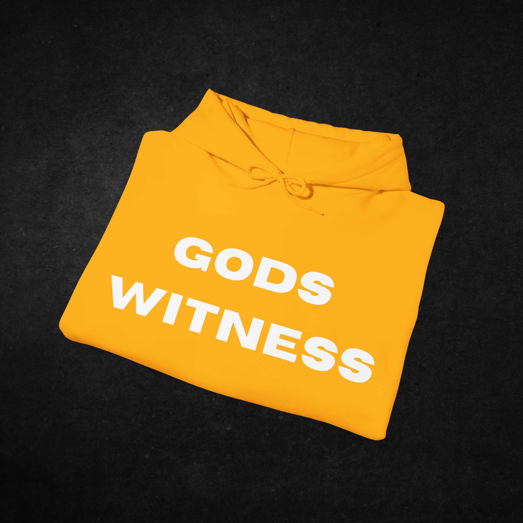 Gods Witness Est. B.C. Unisex Hoodie