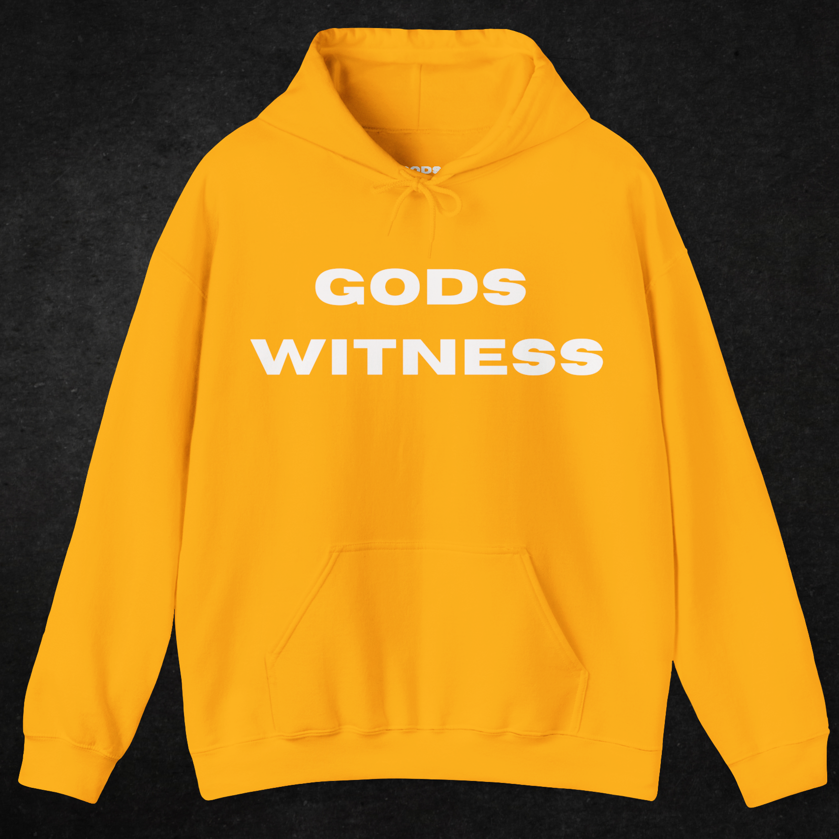 Gods Witness Est. B.C. Unisex Hoodie