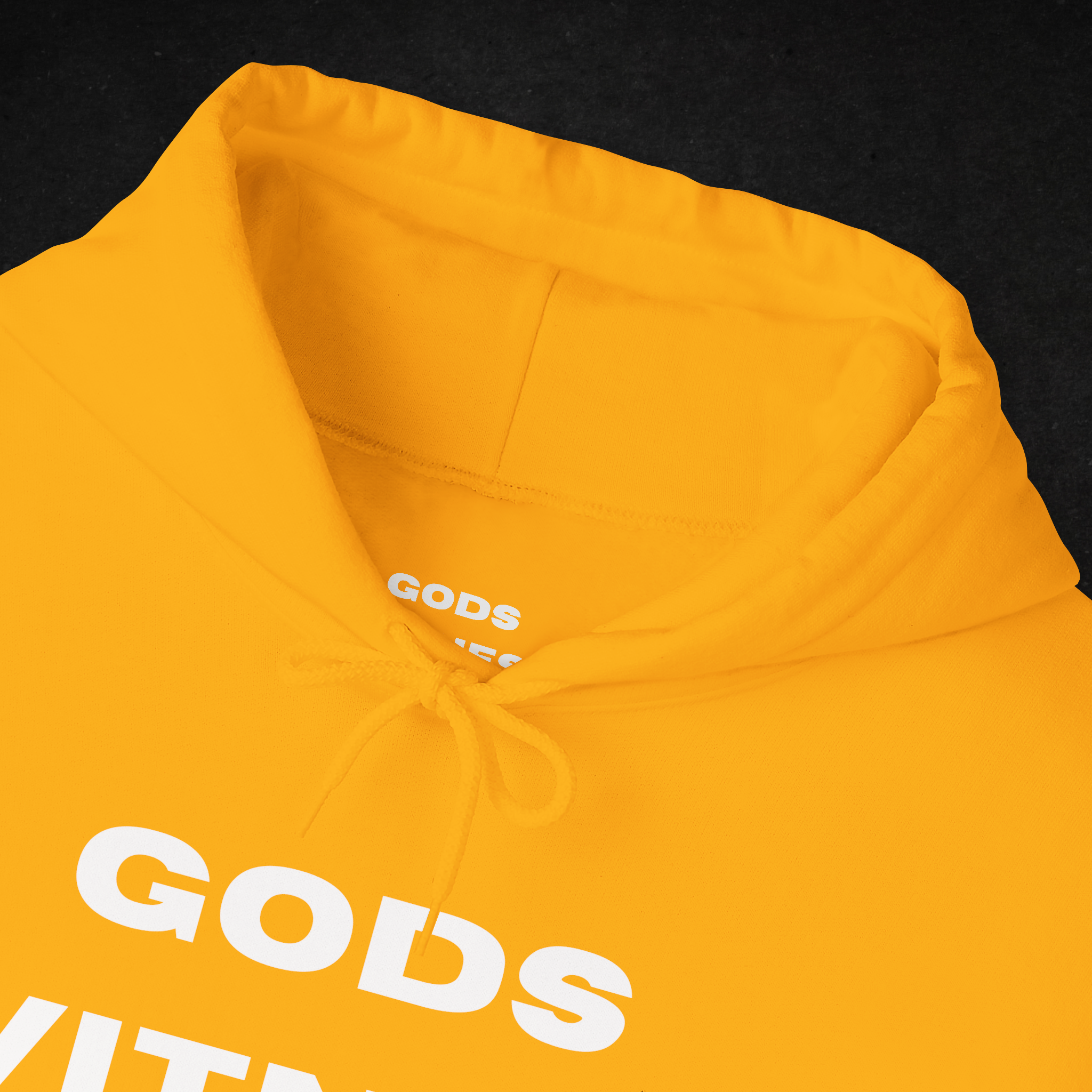 Gods Witness Est. B.C. Unisex Hoodie