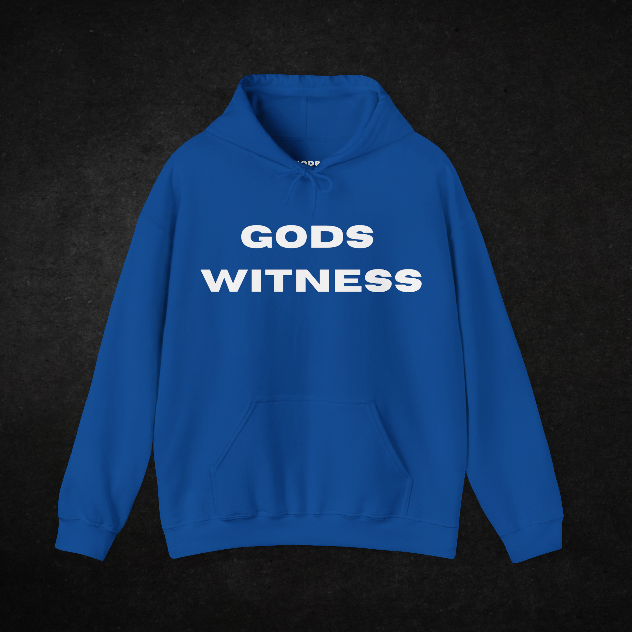 Gods Witness Est. B.C. Unisex Hoodie