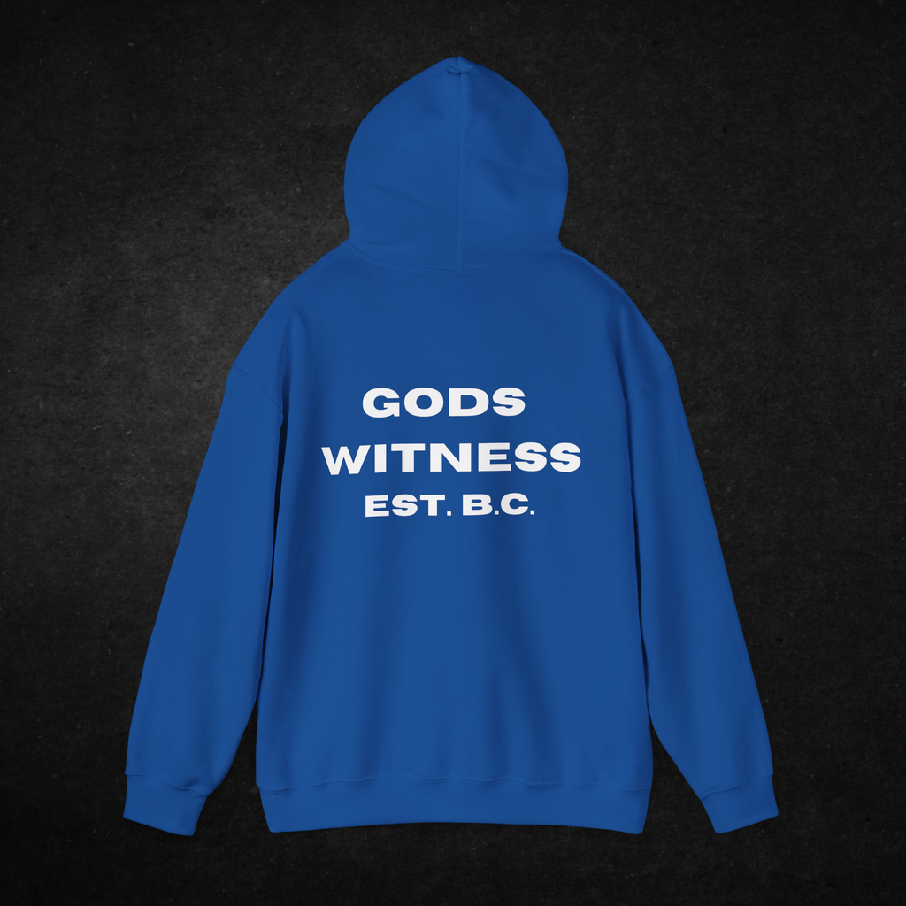 Gods Witness Est. B.C. Unisex Hoodie