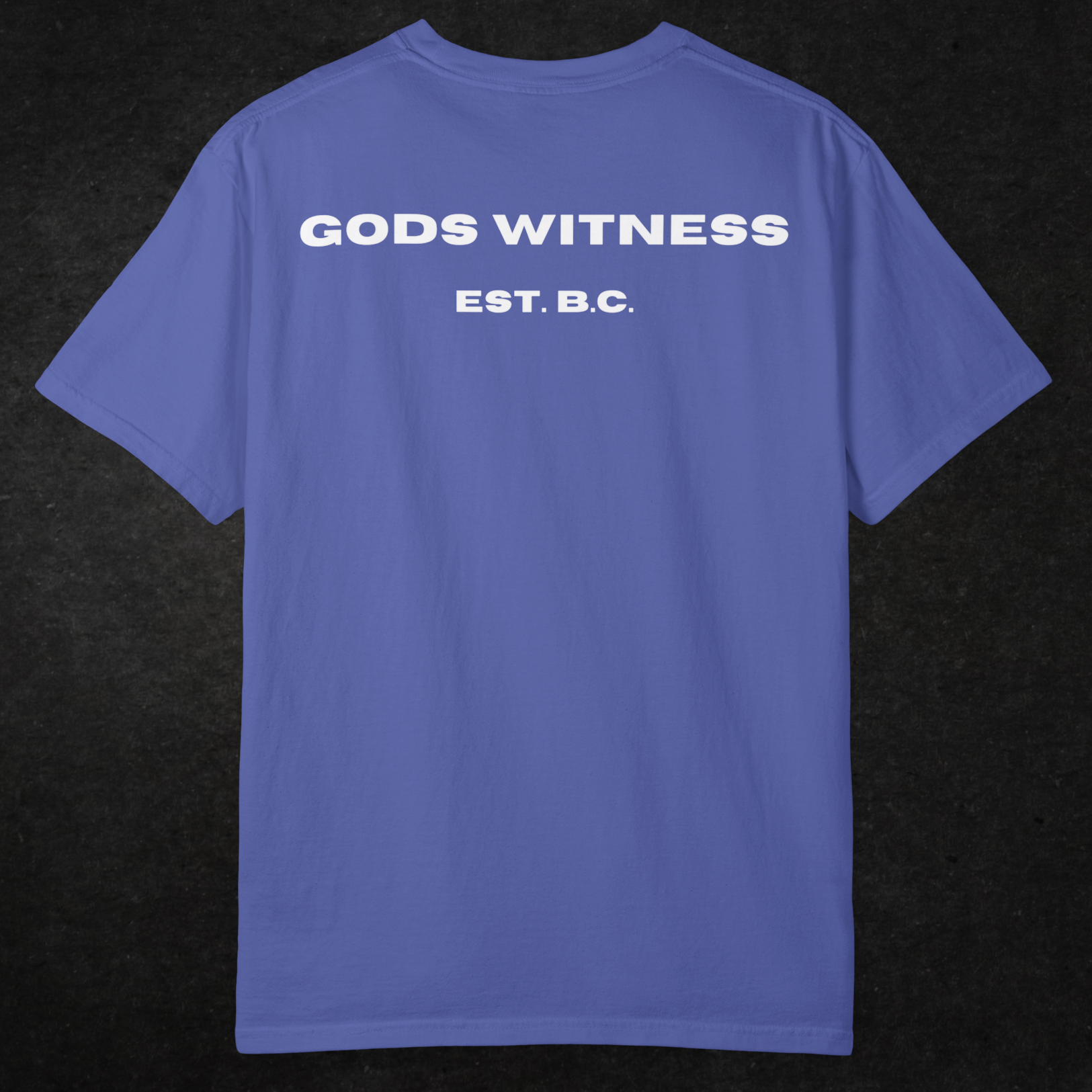 Gods Witness Est. B.C. Unisex T-Shirt