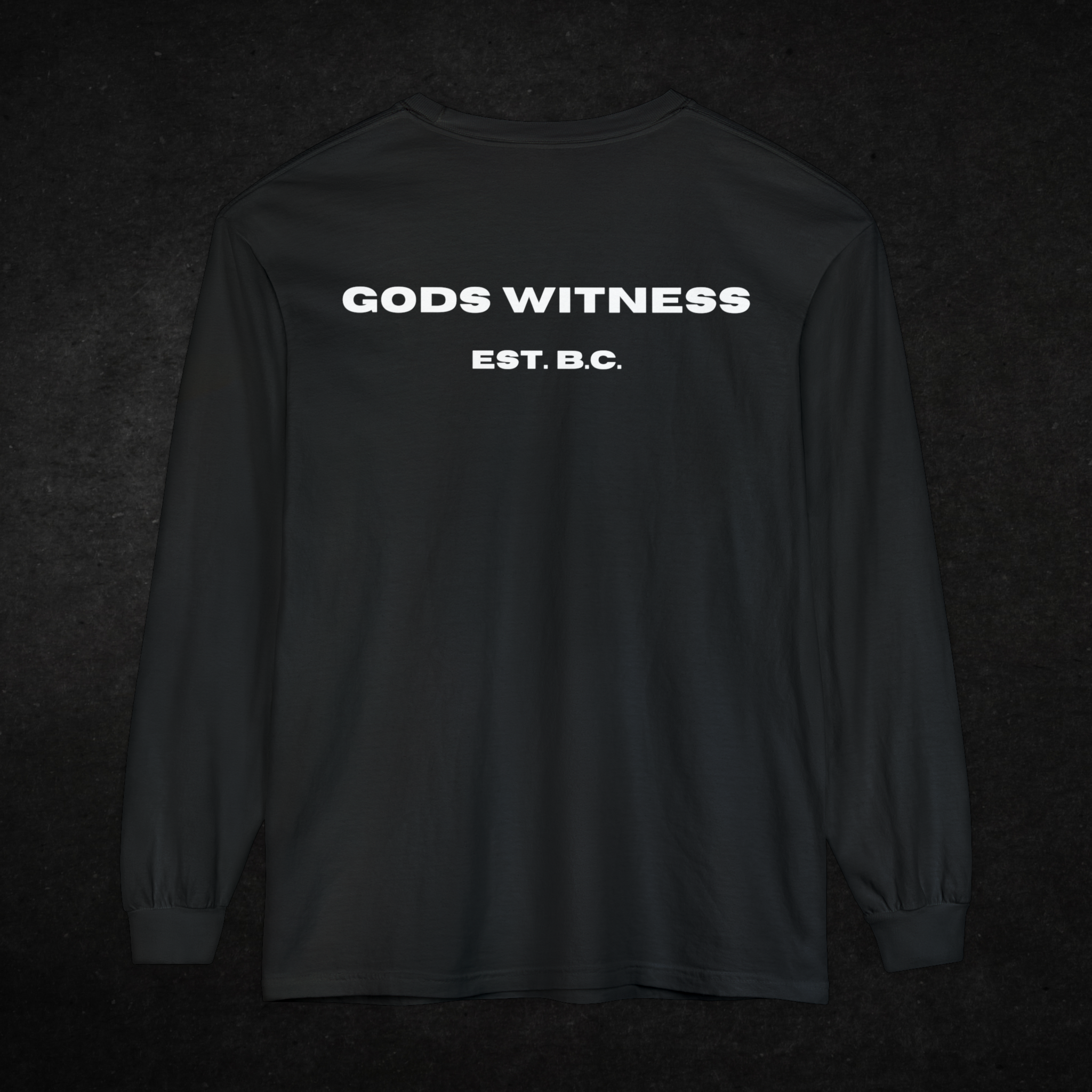 God's Witness Long Sleeve Tee