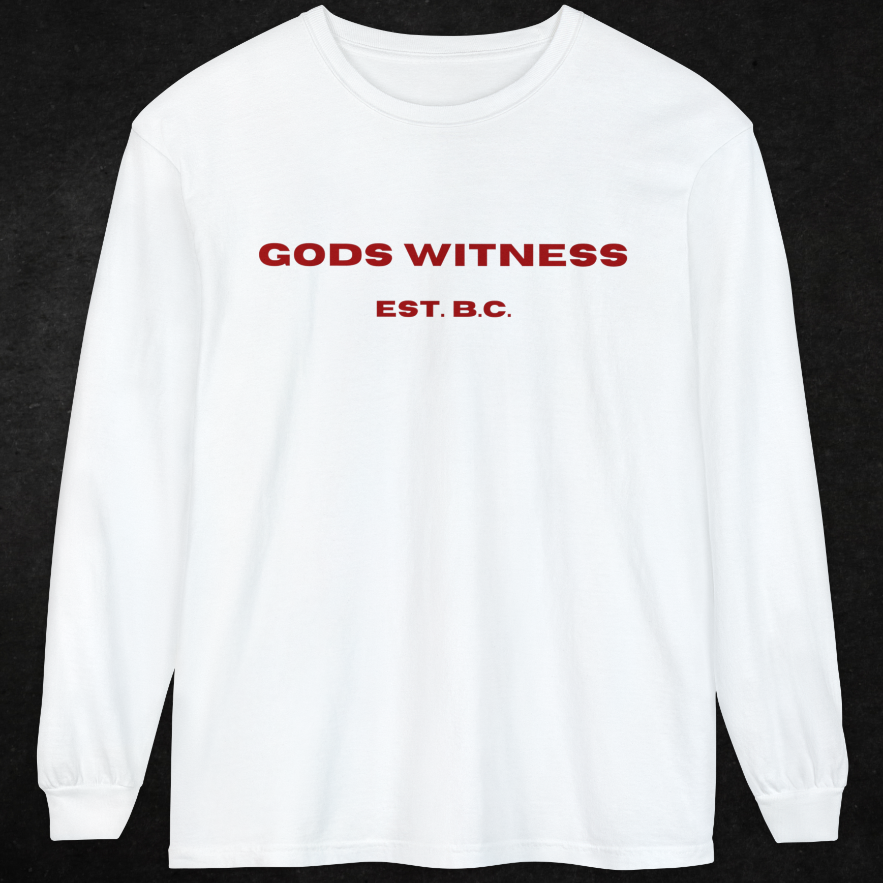 God's Witness Unisex Long Sleeve Tee